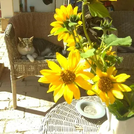 La Capannina